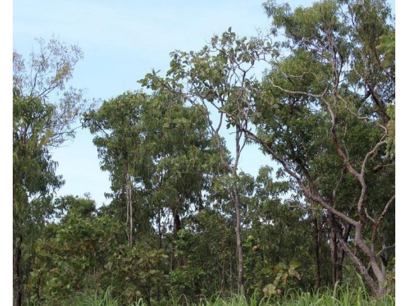 143 Lennox Road, Darwin River NT 0841