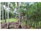 35 Barrow Road, Humpty Doo NT 0836