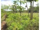 98 Stephen Road, Marrakai NT 0822