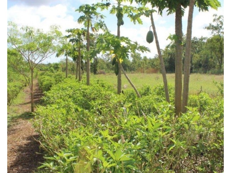 98 Stephen Road, Marrakai NT 0822