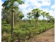 98 Stephen Road, Marrakai NT 0822