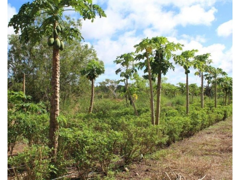 98 Stephen Road, Marrakai NT 0822