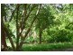 525 Darwin River Road, Darwin River NT 0841