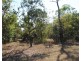 56 Ringwood Road, Southport NT 0822