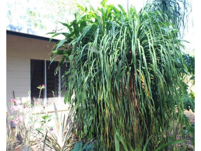 15 Kersley Street, Southport NT 0822