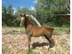 958 Peacock Road, Rum Jungle NT 0845