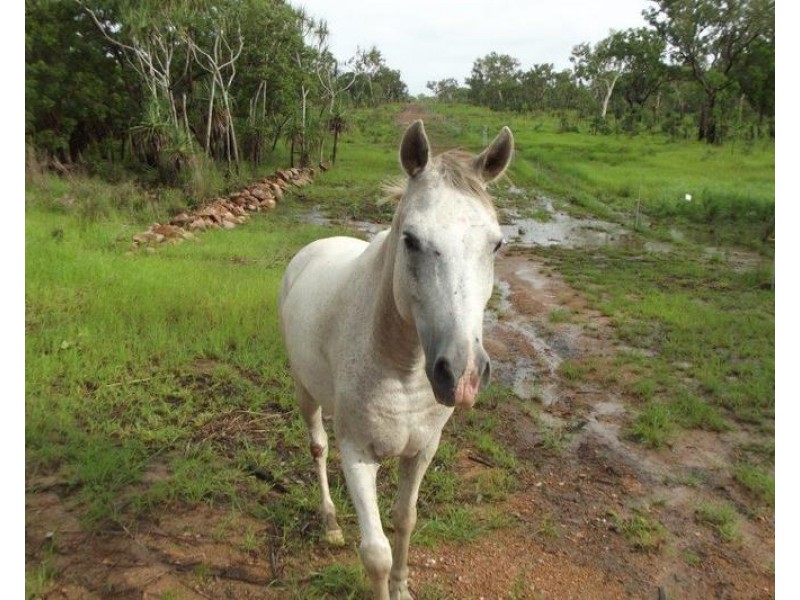 958 Peacock Road, Rum Jungle NT 0845