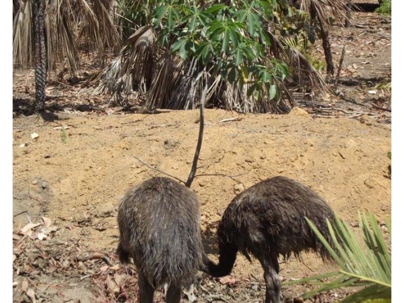 958 Peacock Road, Rum Jungle NT 0845