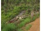 958 Peacock Road, Rum Jungle NT 0845