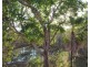 958 Peacock Road, Rum Jungle NT 0845