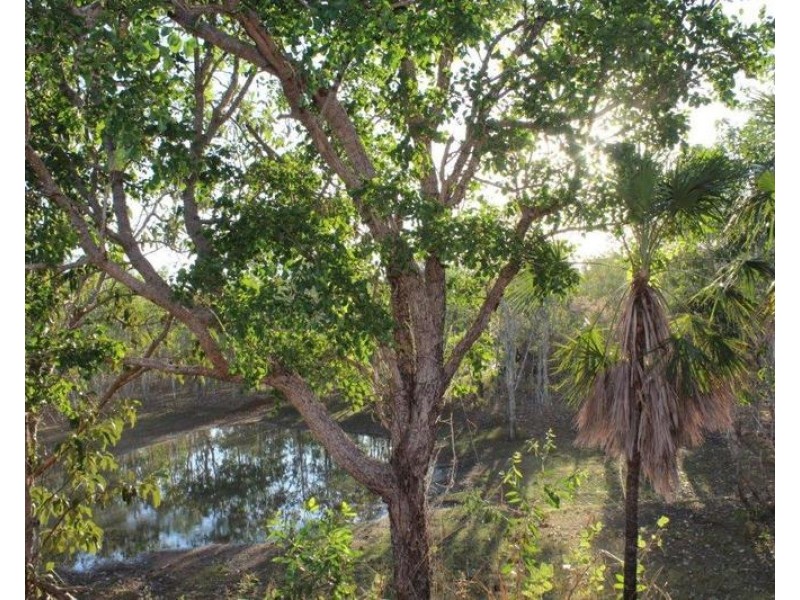 958 Peacock Road, Rum Jungle NT 0845
