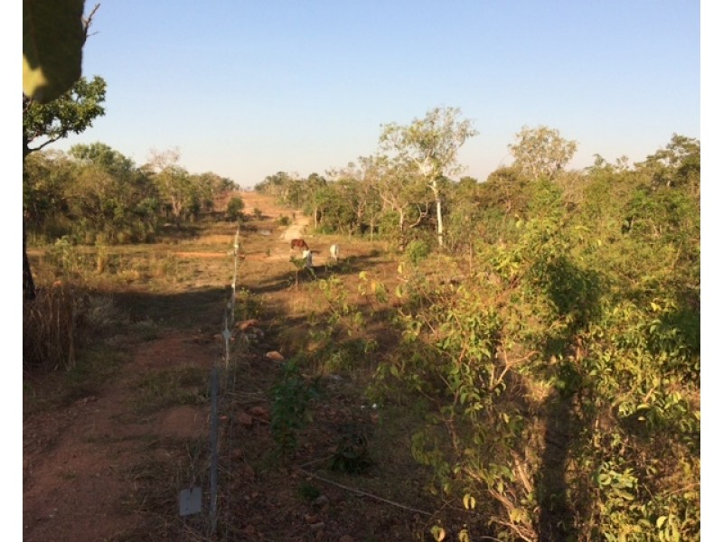 958 Peacock Road, Rum Jungle NT 0845