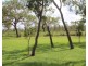 240 Scrutton Road, Livingstone NT 0822
