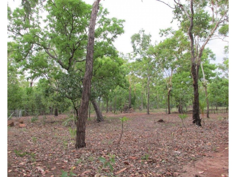 Acacia Hills NT 0822