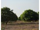 Batchelor NT 0845