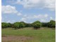 Batchelor NT 0845