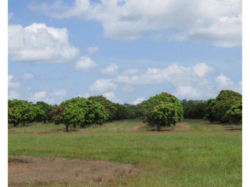 Batchelor NT 0845