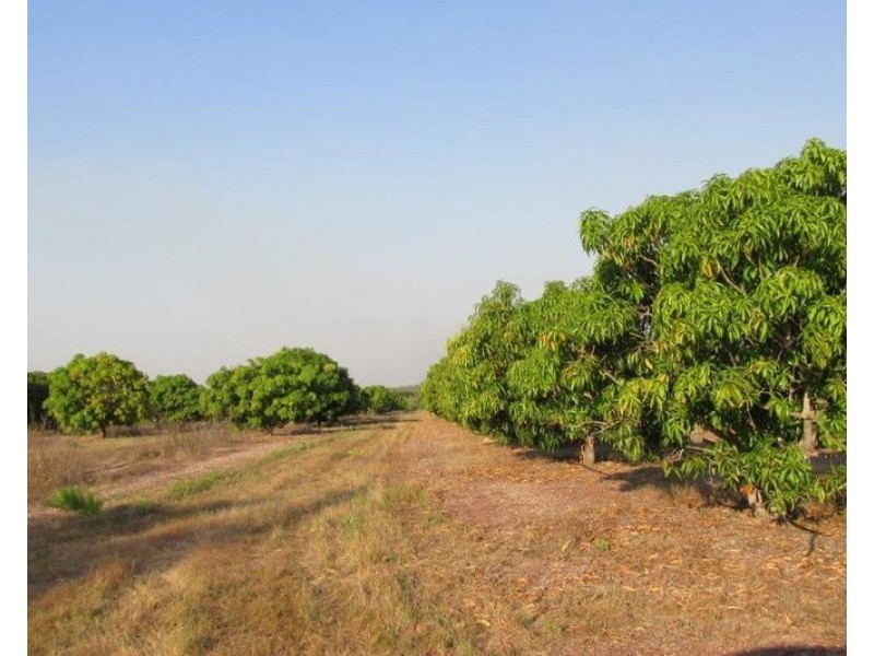 Batchelor NT 0845
