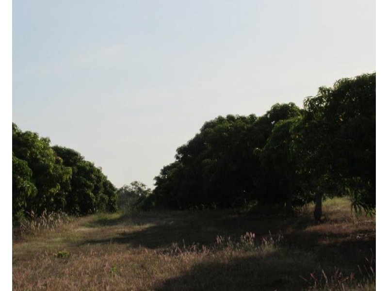 Batchelor NT 0845