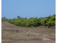 Batchelor NT 0845