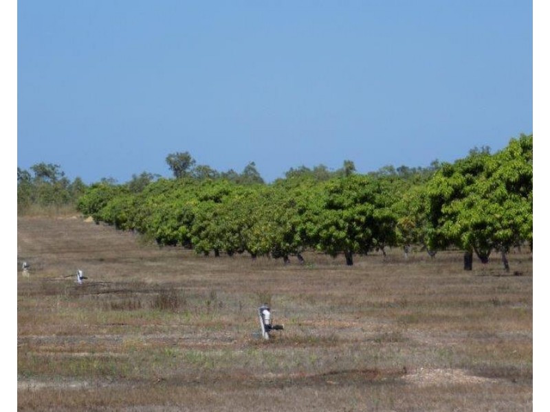 Batchelor NT 0845