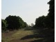 Batchelor NT 0845