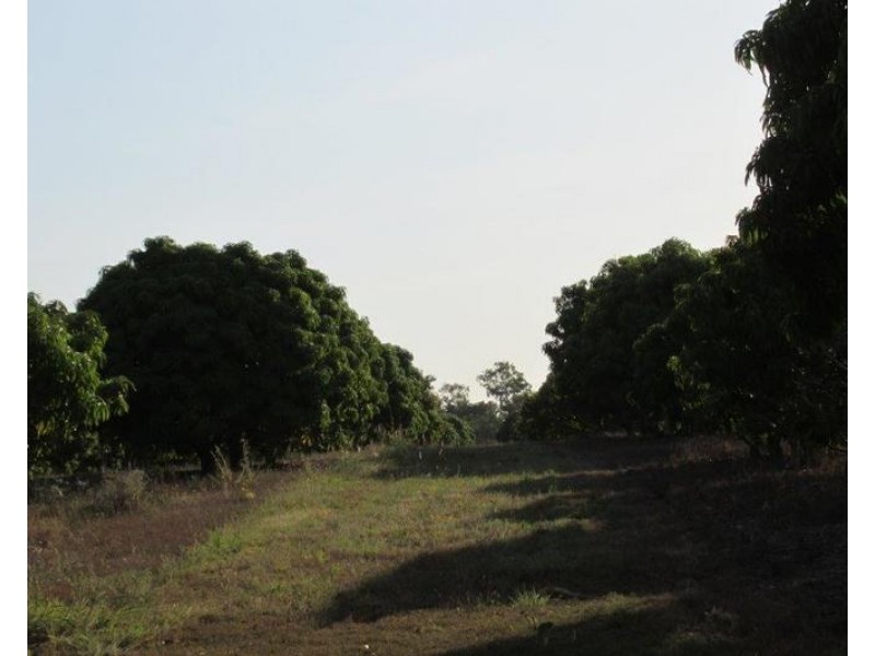 Batchelor NT 0845