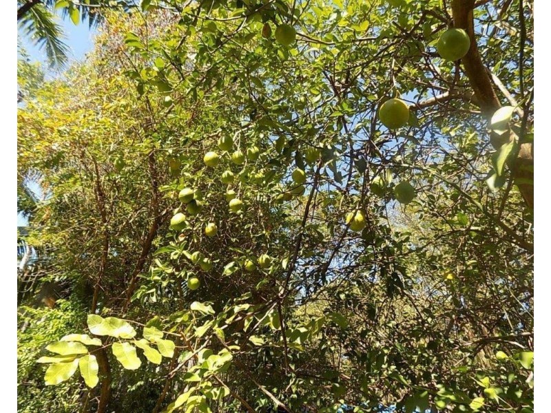 1280 Leonino Road, Darwin River NT 0841