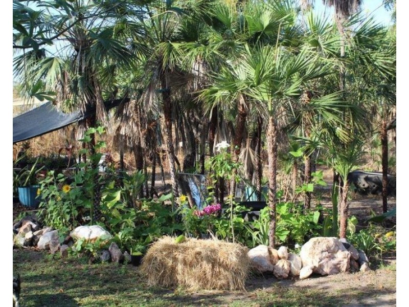 640 Mira Road, Darwin River NT 0841