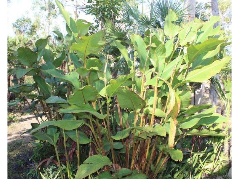 640 Mira Road, Darwin River NT 0841