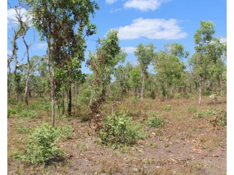 176 Hundred Of Colton, Acacia Hills NT 0822