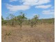 176 Hundred Of Colton, Acacia Hills NT 0822