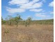 176 Hundred Of Colton, Acacia Hills NT 0822