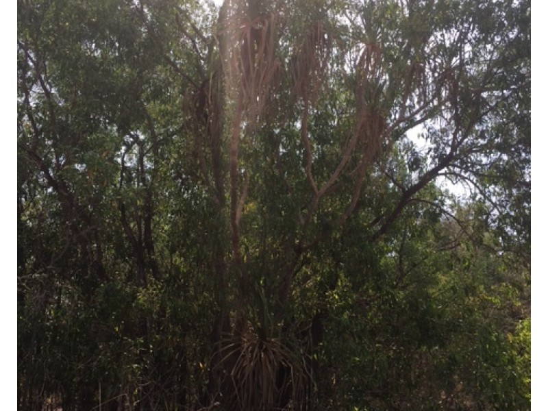 Lot Lot 9, 329a Goode Road, Humpty Doo NT 0836