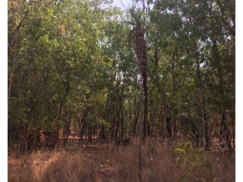 Lot Lot 9, 329a Goode Road, Humpty Doo NT 0836