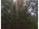 Lot Lot 9, 329a Goode Road, Humpty Doo NT 0836