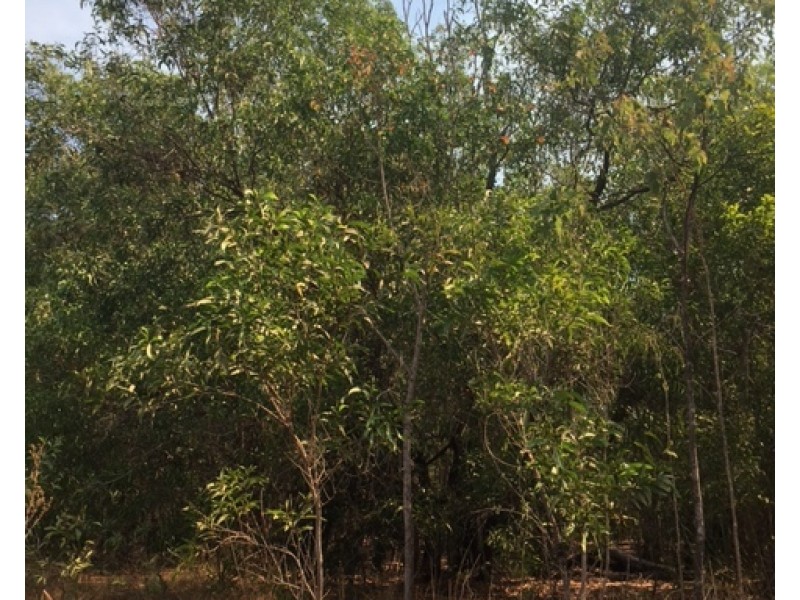 Lot Lot 9, 329a Goode Road, Humpty Doo NT 0836