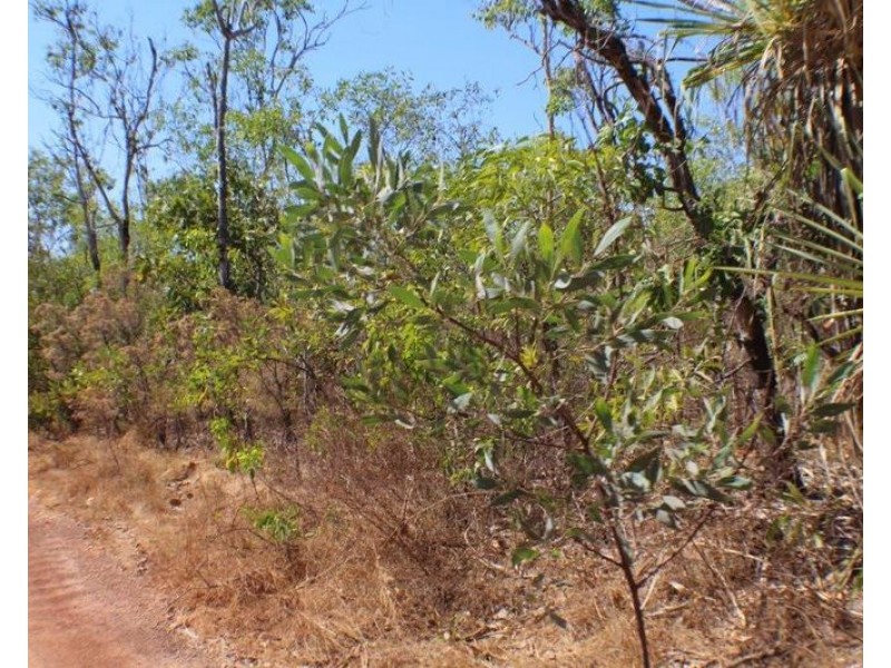 Lot Lot 9, 329a Goode Road, Humpty Doo NT 0836