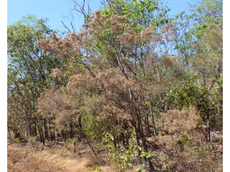 Lot Lot 9, 329a Goode Road, Humpty Doo NT 0836