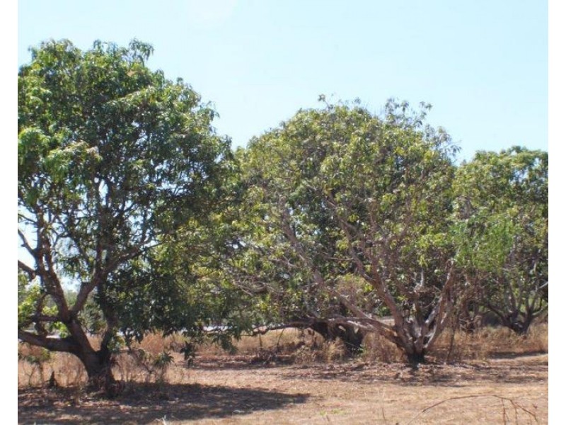 150 Strangways Road, Humpty Doo NT 0836