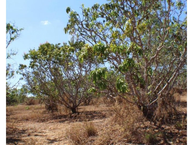 150 Strangways Road, Humpty Doo NT 0836