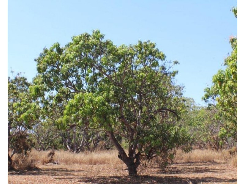 150 Strangways Road, Humpty Doo NT 0836