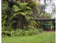 155 Trenow Road, Darwin River NT 0841