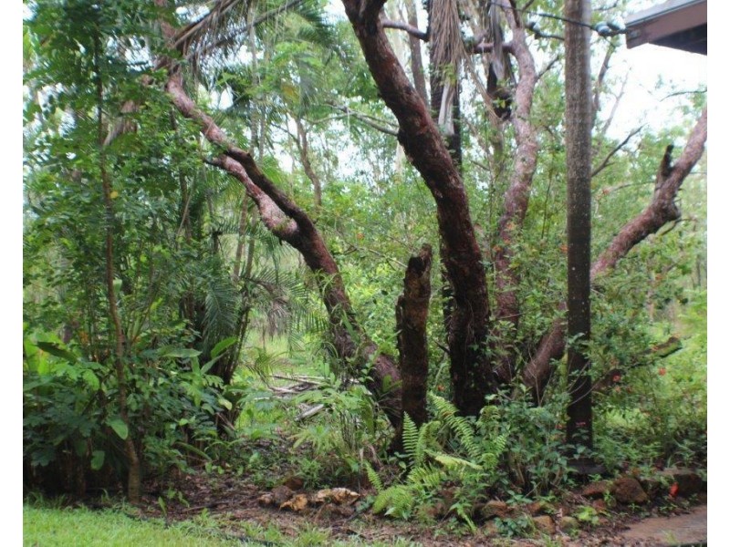 455 Reedbeds Road, Berry Springs NT 0838