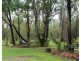 455 Reedbeds Road, Berry Springs NT 0838