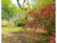 425 Wooliana Road, Daly River NT 0822