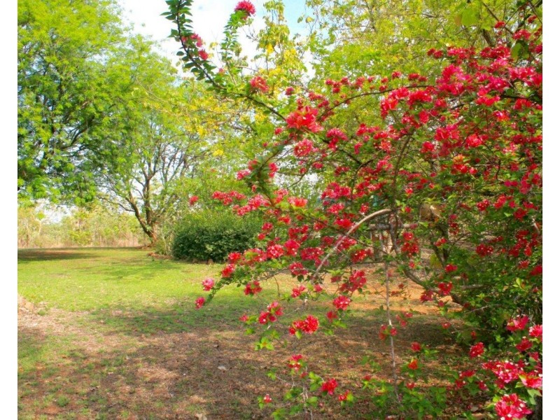 425 Wooliana Road, Daly River NT 0822