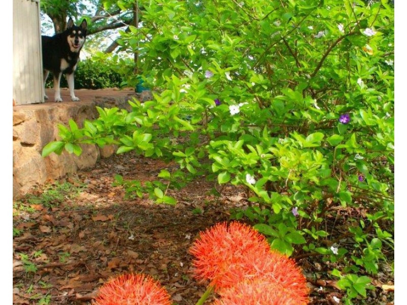 425 Wooliana Road, Daly River NT 0822