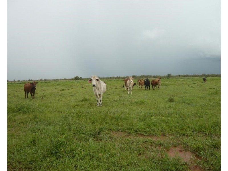 630 Haynes Road, Adelaide River NT 0846