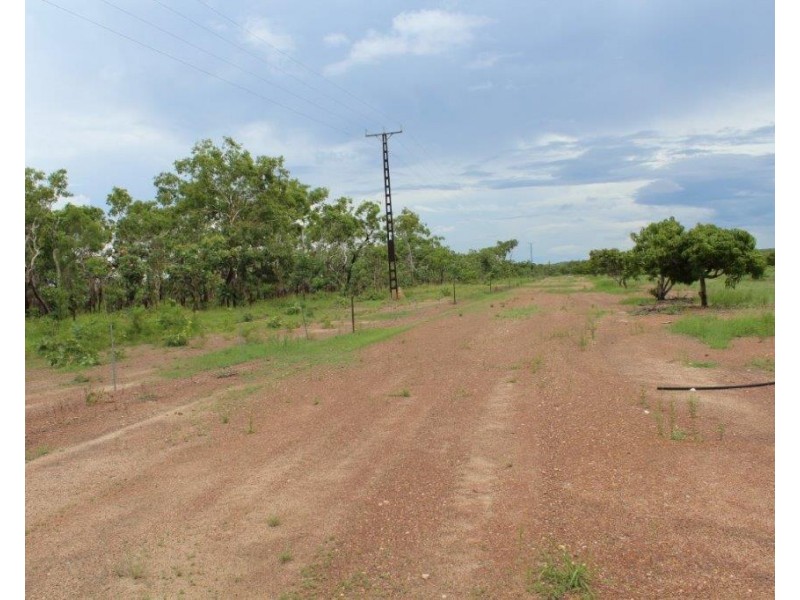 Batchelor NT 0845